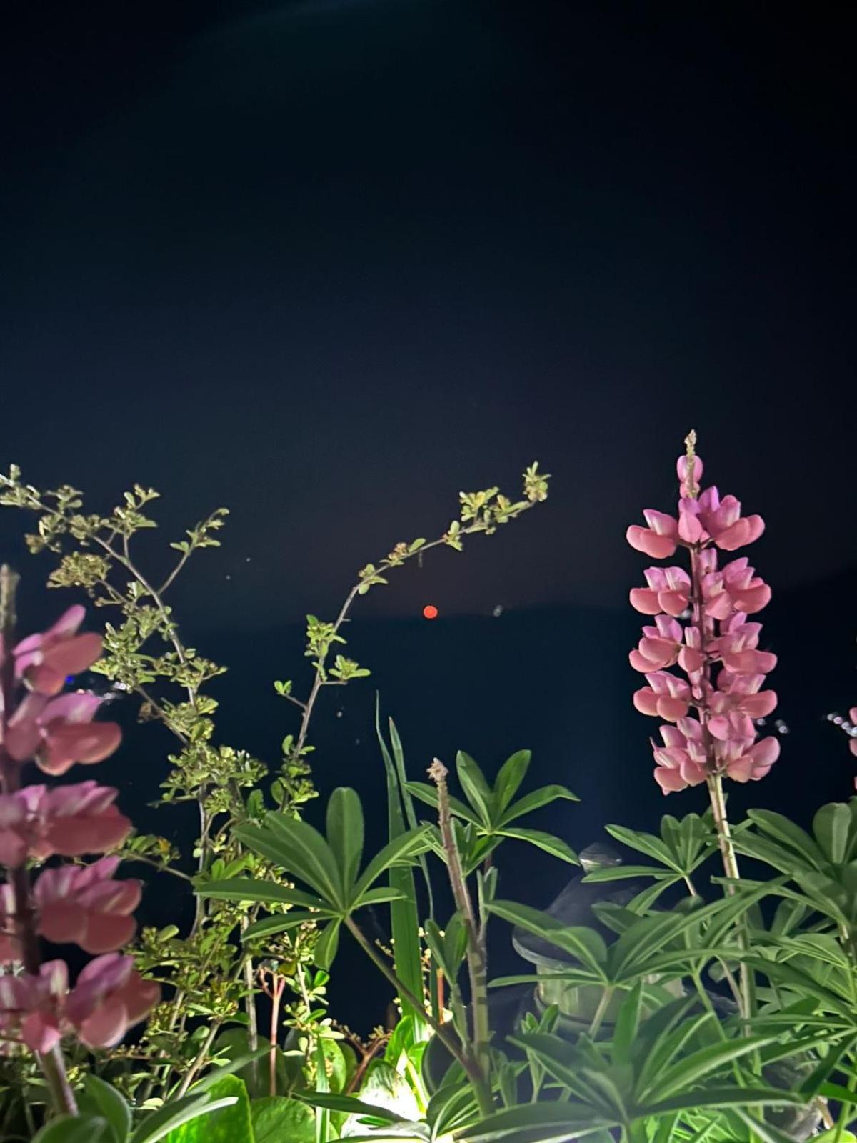 Murmincho Homestay Darjeeling  Buitenkant foto